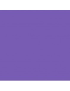 Cartulina violeta de 50 x 65 cm, CANSON