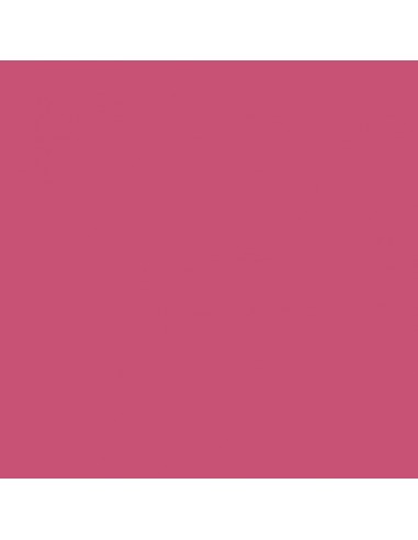 Cartulina fucsia de 65 x 100 cm