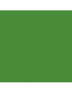 Cartulina verde limón  de 87 x 67cm