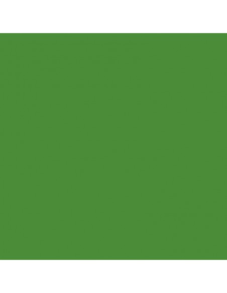Cartulina verde limón  de 87 x 67cm