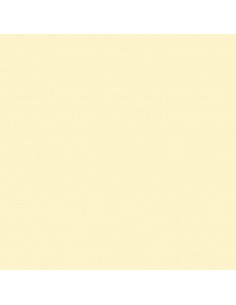 Cartulina amarillo claro con brillo de 72 x 102 cm