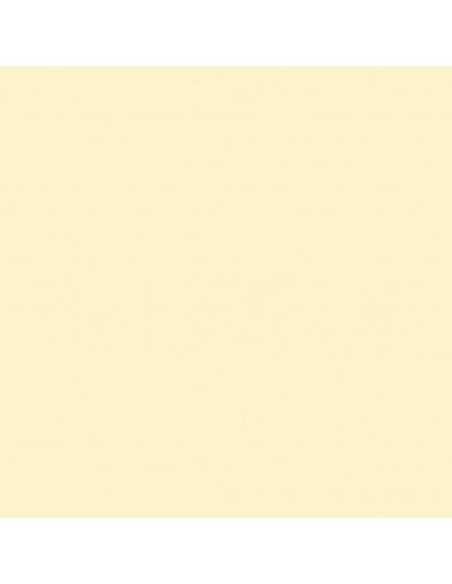 Cartulina amarillo claro con brillo de 72 x 102 cm