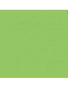 Cartulina verde Prato de 72 x 102 cm