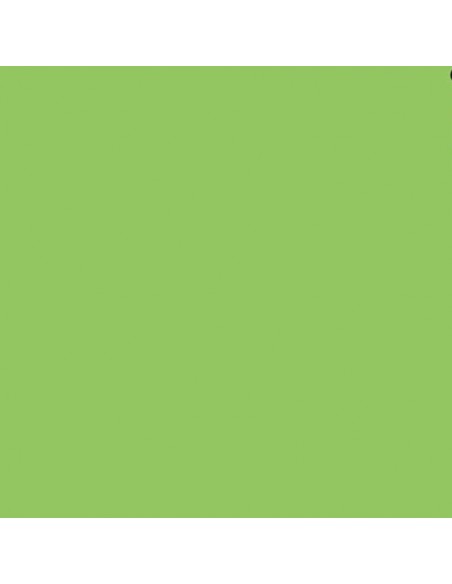 Cartulina verde Prato de 72 x 102 cm