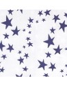 Cartulina de estrellas doble cara azul  y blanco 50 x 65 cm