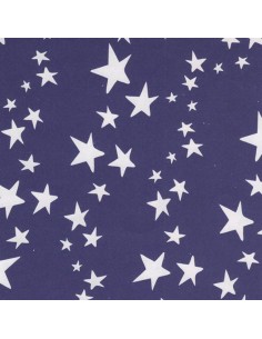 Cartulina de estrellas doble cara azul  y blanco 50 x 65 cm
