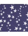 Cartulina de estrellas doble cara azul  y blanco 50 x 65 cm