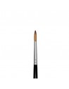 Pincel para Acuarela 308-10, TIGRE