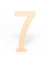 Número 7