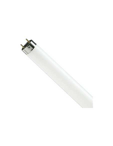 Tubo fluorescente, PHILIPS