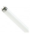 Tubo fluorescente, PHILIPS