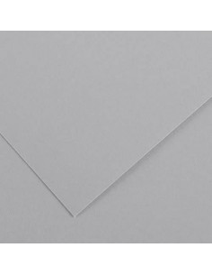 Cartulina, 160gr, de 50 x 65 cm, CANSON
