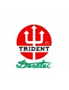 TRIDENT